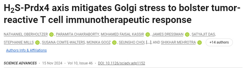 H2S-Prdx4軸減輕高爾基體應(yīng)激，增強(qiáng)腫瘤反應(yīng)性T細(xì)胞免疫治療反應(yīng)