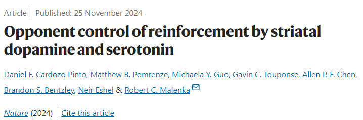 紋狀體多巴胺和血清素對強化的相反控制