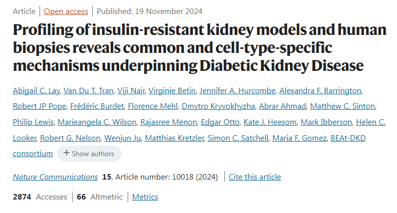 胰島素抵抗腎臟模型和人類活檢的分析揭示了糖尿病腎病的常見(jiàn)和細(xì)胞類型特異性機(jī)制