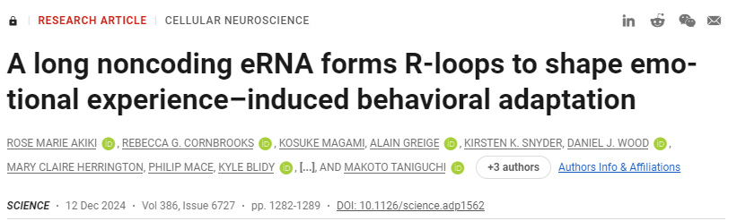 長的非編碼eRNA形成R環(huán)，以塑造情緒體驗誘導(dǎo)的行為適應(yīng)