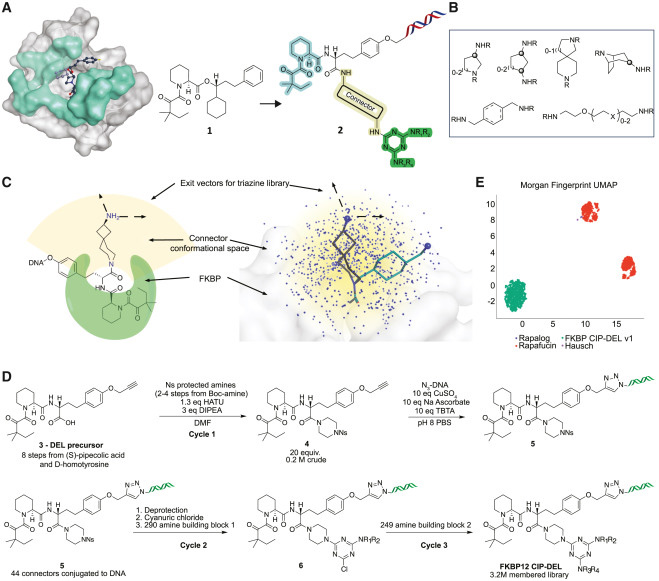 文庫設(shè)計(jì)與合成