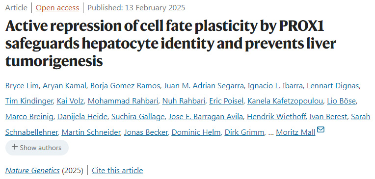 PROX1對細(xì)胞命運(yùn)可塑性的主動抑制保護(hù)了肝細(xì)胞的身份并預(yù)防了肝臟腫瘤的發(fā)生