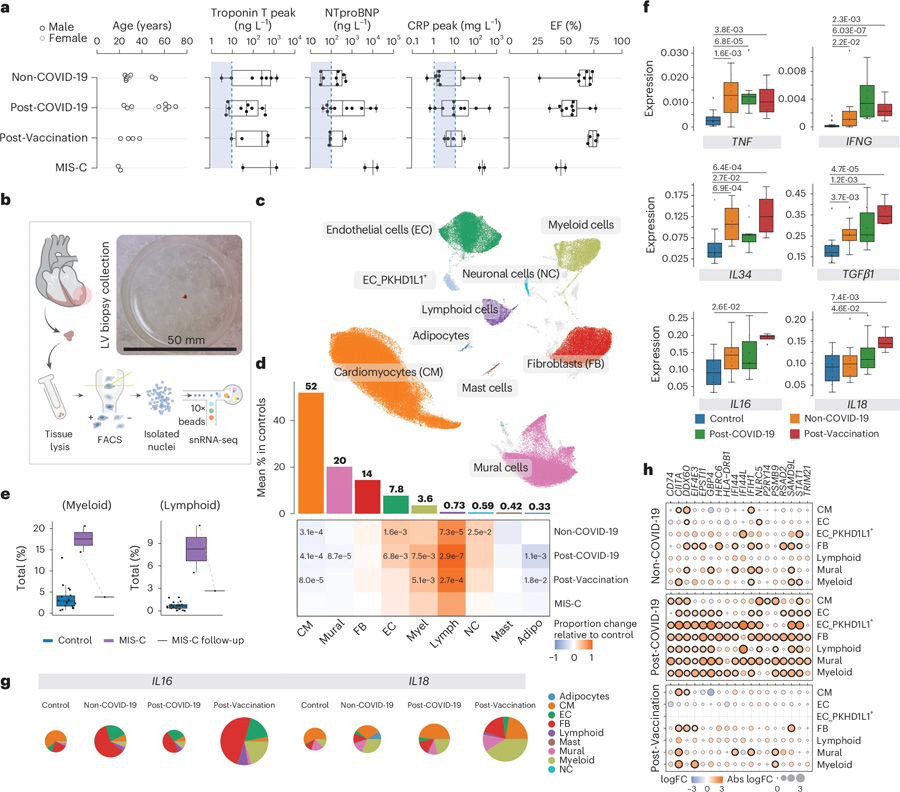 非COVID-19、COVID-19后以及疫苗接種后的炎癥性心肌病具有獨特的細胞和分子特征
