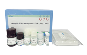 西寶生物隆重推出兩款蛋白酶檢測(cè)試劑盒 - 精準(zhǔn)檢測(cè)，賦能生物制藥質(zhì)量控制