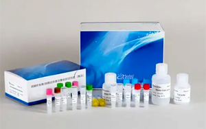 新品上市|硫酸軟骨素/硫酸皮膚素定量檢測(cè)試劑盒-關(guān)注糖胺聚糖檢測(cè)，助力藥品安全與科研創(chuàng)新！