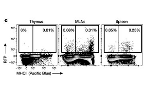 Nature：T細(xì)胞也需要“早教”，只要細(xì)菌教得好，機(jī)體免疫差不了！