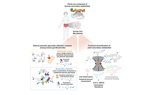 Cell：將飲食和腸道微生物結合起來預防胃腸道疾病