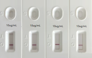 人偏肺病毒（hMPV）抗原檢測(cè)-免疫層析 （膠體金、彩色乳膠及熒光免疫層析）解決方案