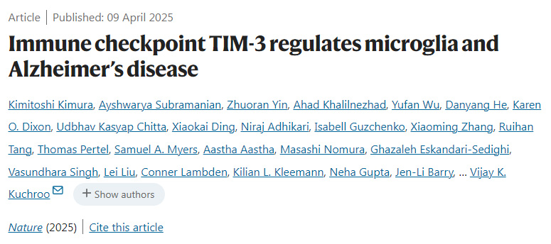 免疫檢查點TIM-3調節(jié)小膠質細胞和阿爾茨海默病