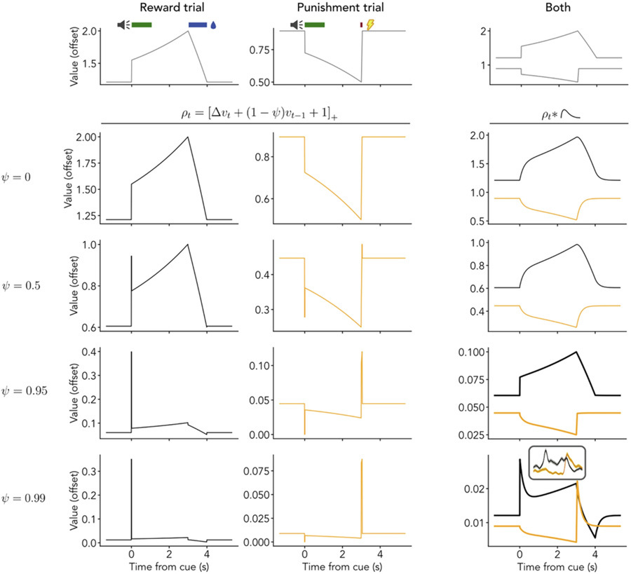 價(jià)值前瞻性編碼的簡化模型解釋血清素神經(jīng)元對短期獎賞與懲罰的響應(yīng)機(jī)制 價(jià)值前瞻性編碼的簡化模型解釋血清素神經(jīng)元對短期獎賞與懲罰的響應(yīng)機(jī)制