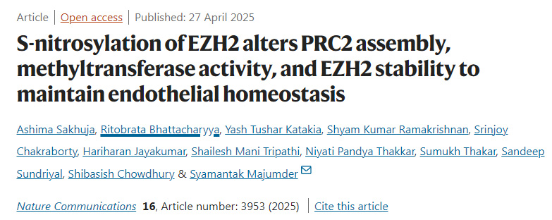 EZH2的S-亞硝基化通過(guò)改變PRC2復(fù)合物的組裝、甲基轉(zhuǎn)移酶活性及EZH2的穩(wěn)定性來(lái)維持內(nèi)皮穩(wěn)態(tài)