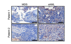 Nature：?；撬崮芡苿影籽“┘毎L！