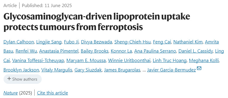 糖胺聚糖驅動的脂蛋白攝取可保護腫瘤免受鐵死亡影響