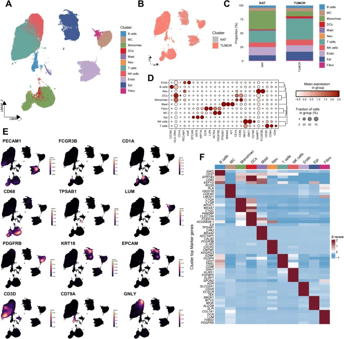  腎細(xì)胞癌的單細(xì)胞RNA測(cè)序分析