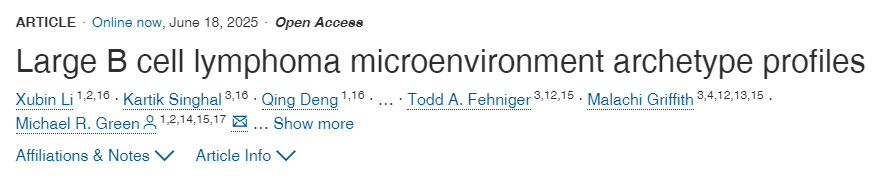 大B細(xì)胞淋巴瘤微環(huán)境原型特征圖譜