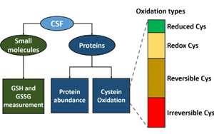 腦脊液中谷胱甘肽氧化作為肌萎縮側(cè)索硬化癥氧化應(yīng)激的生物標志物研究