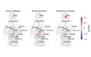 血漿蛋白質(zhì)組學揭示腦與免疫系統(tǒng)衰老與健康壽命及長壽的關(guān)聯(lián)機制