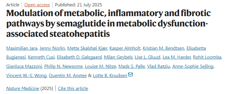 司美格魯肽在代謝功能障礙相關(guān)脂肪性肝炎中對(duì)代謝、炎癥和纖維化通路的調(diào)節(jié)作用