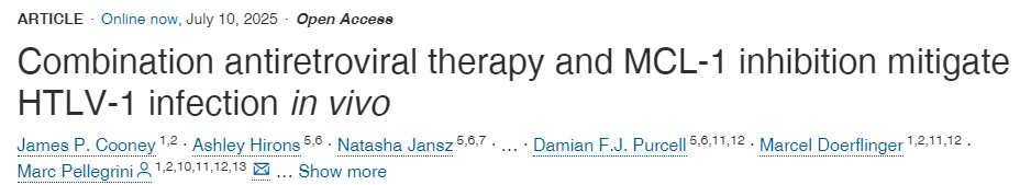 體內(nèi)實(shí)驗(yàn)表明:聯(lián)合抗逆轉(zhuǎn)錄病毒療法與MCL-1抑制可緩解HTLV-1感染 體內(nèi)實(shí)驗(yàn)表明:聯(lián)合抗逆轉(zhuǎn)錄病毒療法與MCL-1抑制可緩解HTLV-1感染