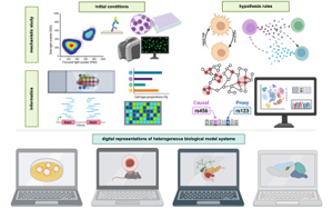 Cell：多年、多實(shí)驗(yàn)室合作，科學(xué)家們成功模擬癌細(xì)胞