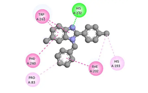 組蛋白去乙?；?通過(guò)去乙?；c泛素化修飾ATG3調(diào)控自噬的新機(jī)制