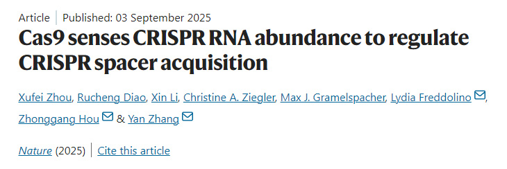 Cas9通過感知CRISPR RNA豐度來(lái)調(diào)控CRISPR間隔序列的獲取