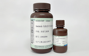 免脫色考馬斯亮藍染色液，改寫蛋白實驗效率天花板