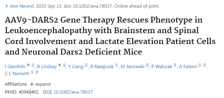 AAV9-DARS2基因療法挽救伴腦干脊髓受累及乳酸升高的腦白質營養(yǎng)不良患者細胞與神經元Dars2缺陷小鼠的表型