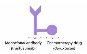 抗體藥物偶聯(lián)物Trastuzumab Deruxtecan在HER2低表達轉(zhuǎn)移性乳腺癌中的長期生存獲益：DESTINY-Breast04 III期試驗最終分析