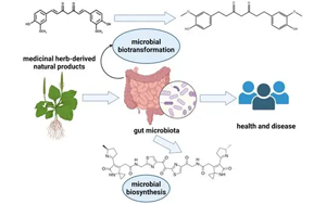 Science：逆轉(zhuǎn)錄元件會影響人類腸道微生物組
