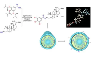 膳食氧化豆甾醇對小鼠膽固醇代謝的調(diào)控作用及其與豆甾醇的差異機(jī)制研究
