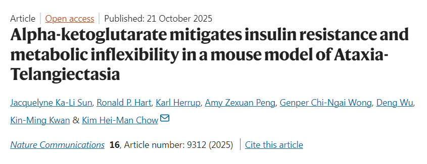 α-酮戊二酸緩解共濟(jì)失調(diào)-毛細(xì)血管擴(kuò)張癥小鼠模型的胰島素抵抗與代謝僵化