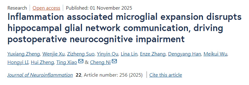 炎癥相關(guān)的小膠質(zhì)細(xì)胞擴(kuò)增會(huì)破壞海馬區(qū)膠質(zhì)細(xì)胞網(wǎng)絡(luò)的通信，進(jìn)而引發(fā)術(shù)后神經(jīng)認(rèn)知功能障礙