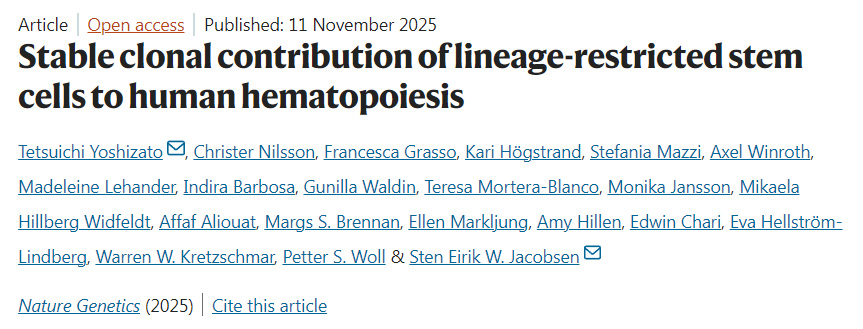 譜系限制性干細(xì)胞對(duì)人類造血的穩(wěn)定克隆貢獻(xiàn)