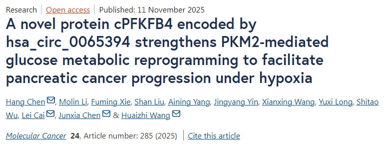 由hsa_circ_0065394編碼的新型蛋白cPFKFB4通過增強(qiáng)PKM2介導(dǎo)的葡萄糖代謝重編程，促進(jìn)胰腺癌在缺氧條件下的進(jìn)展