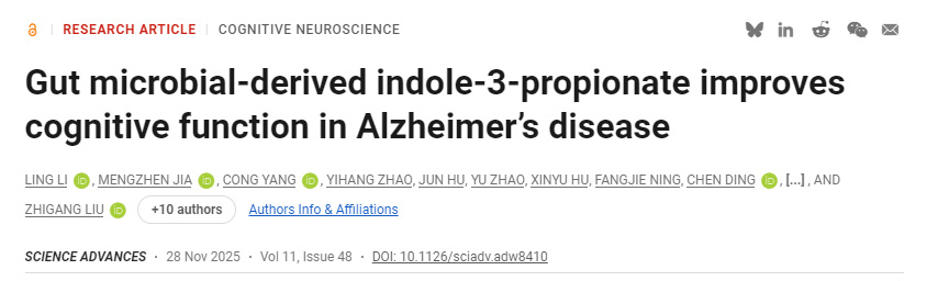 腸道微生物衍生的吲哚-3-丙酸改善阿爾茨海默病認(rèn)知功能