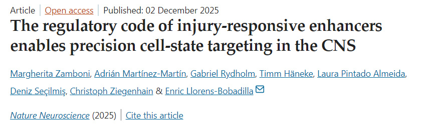 損傷響應(yīng)增強子的調(diào)控規(guī)則使中樞神經(jīng)系統(tǒng)中的精準(zhǔn)細(xì)胞狀態(tài)靶向成為可能