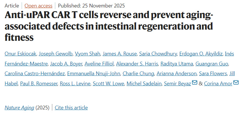 抗uPAR CAR-T細胞可逆轉(zhuǎn)并預防衰老相關的腸道再生與機能缺陷