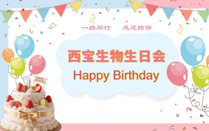 搶凳爭(zhēng)先鋒 奪魁樂(lè)無(wú)窮!西寶生物12月生日會(huì)快樂(lè)舉行