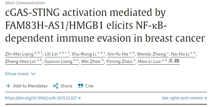 FAM83H-AS1/HMGB1介導(dǎo)的cGAS-STING激活引發(fā)乳腺癌中NF-κB依賴(lài)性免疫逃逸