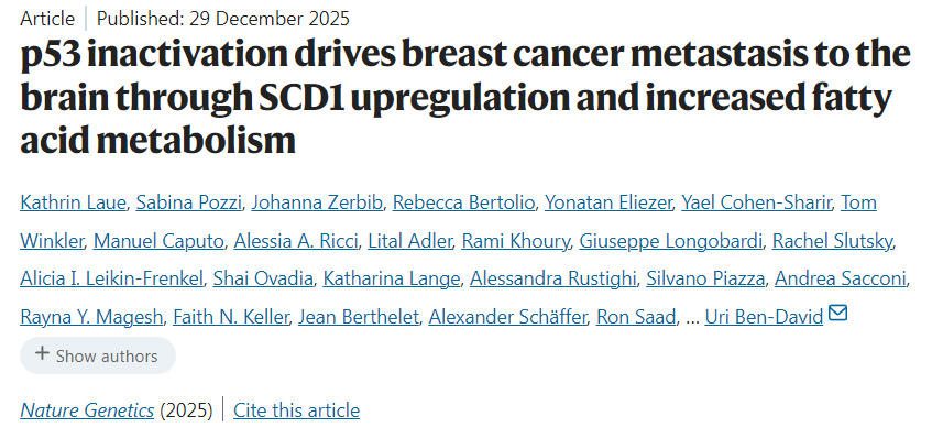 p53失活通過上調SCD1及增強脂肪酸代謝驅動乳腺癌向腦部轉移