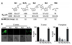 抗生素濫用問題如何解決？Science 新研究揭示抗生素輔助抑制劑的新進展