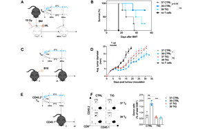 PNAS驚人大發(fā)現(xiàn)！發(fā)燒竟能抗癌，“小病不斷，大病不犯”或許不是謠傳