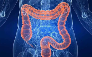 曬太陽真的能防癌？186國數(shù)據(jù)研究重磅出爐，紫外線照射不足或成結(jié)直腸癌潛在致病原因