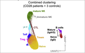 這類人群感染HPV后可能成為“樹人”！Cell揭示CD28缺乏與HPV易感性之間的關(guān)系