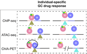 舊藥可新用！Cell子刊揭示糖皮質(zhì)激素藥物相關(guān)副作用的遺傳位點
