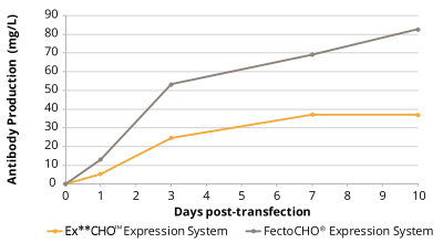 按照標準操作手冊轉染Ex**CHO<sup>TM</sup>細胞