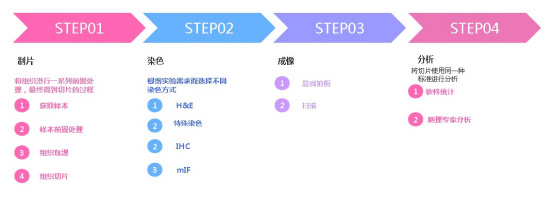 病理技術檢測服務流程