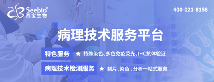 病理技術檢測服務