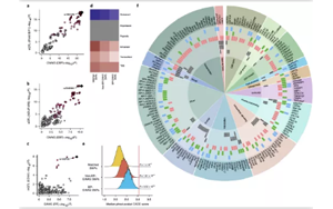 高血壓遺傳嗎？Nature子刊揭示高血壓的遺傳機(jī)制